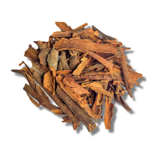 Broken Cassia Small Size