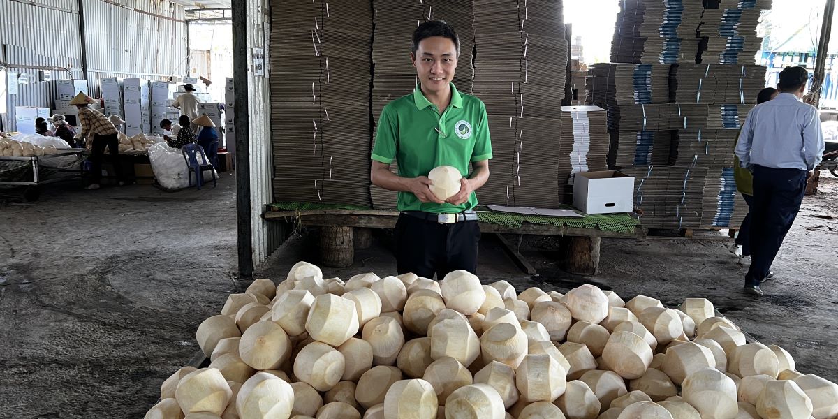 Coconut Warehouse