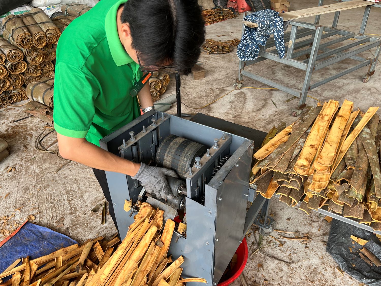 A man at cassia factory